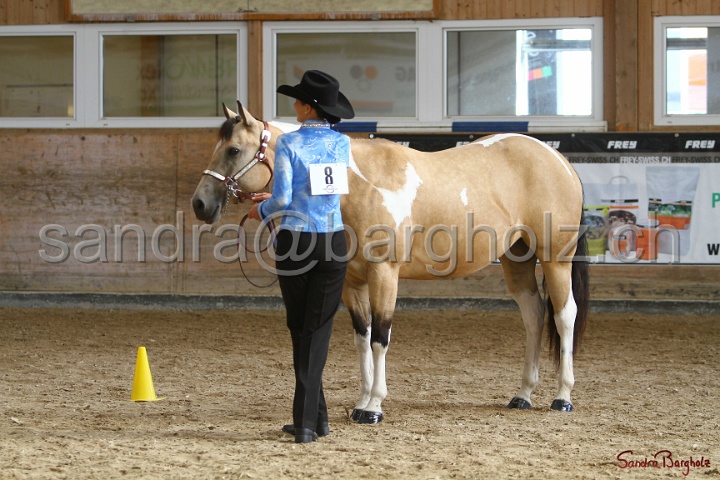 23-APHA SS_001.jpg
